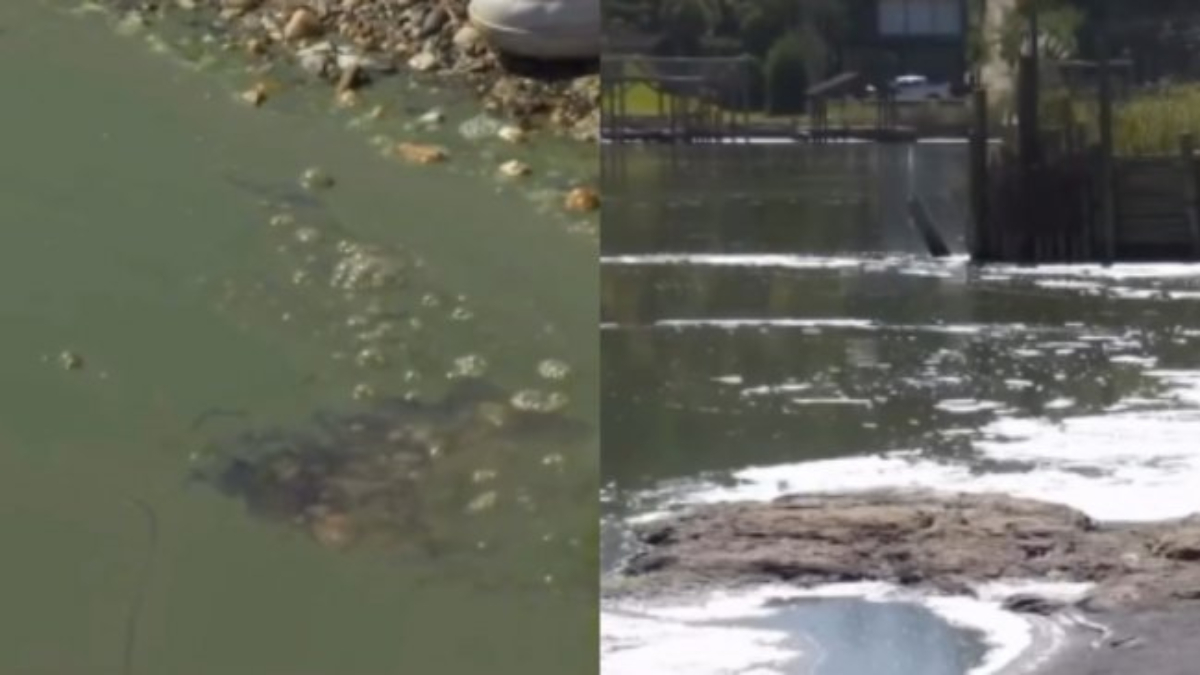 Imagen foto_00000001