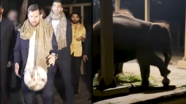 ¿Es de IA? El viral pase de Messi a un elefante en su visita a India