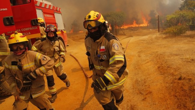 Un detenido y miles de hectáreas consumidas por incendios forestales en zona centro sur