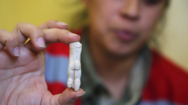 PDI detiene a sujeto en Lampa por tenencia ilegal de patrimonio natural y arqueológico