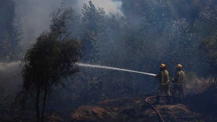 Diez incendios forestales se mantienen 