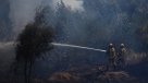 Incendio forestal en Pichidegua superó las 100 hectáreas quemadas