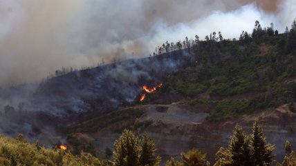 Conaf e incendios que afectan al país: 