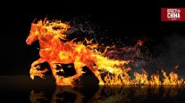 Efecto China: 2026, el año del Caballo de Fuego