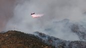 Incendios forestales: Gobierno activó preventivamente 