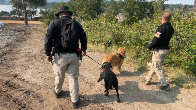 Refuerzan búsqueda de joven desaparecido en río Los Ñadis de Panguipulli