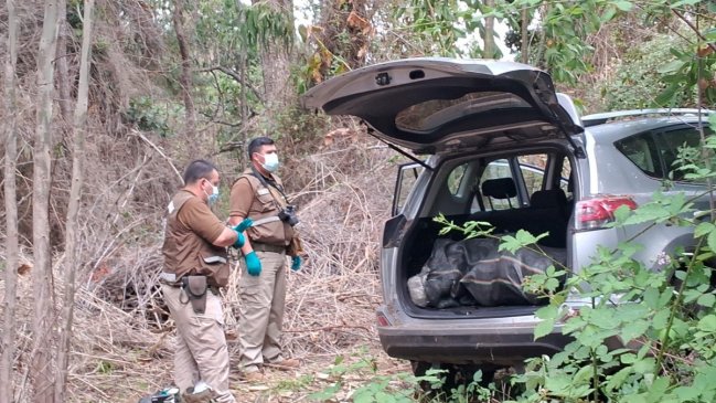 Carabineros recupera vehículos robados e incauta 26 kilos de droga en La Araucanía