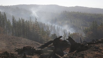   Incendios y altas temperaturas activan alertas en La Araucanía 