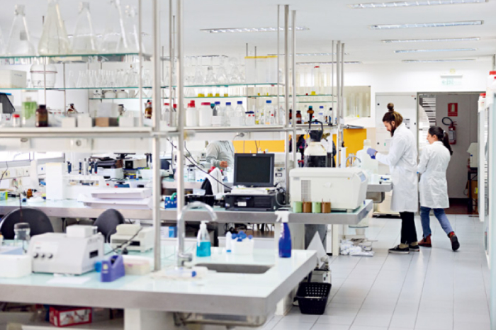 Imagen foto_00000003