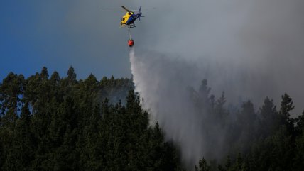   Alerta roja por incendio forestal que afecta a Lumaco y Purén 