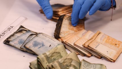   ¿Cómo recuperar billetes y monedas dañados por siniestros o eventos accidentales? 