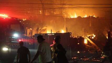 Ñuble y Biobío están bajo estado de catástrofe por devastadores incendios forestales