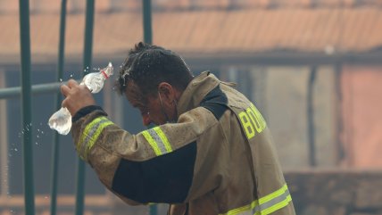 Incendios forestales en Ñuble y Biobío: ¿Cómo ayudar?