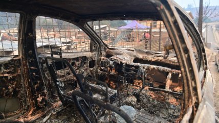   Concepción: La preocupación de vecinos de Palomares ante el avance de los incendios forestales 