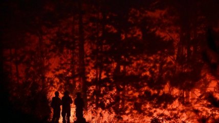   Prisión preventiva para hombre detenido por iniciar incendio en Perquenco 