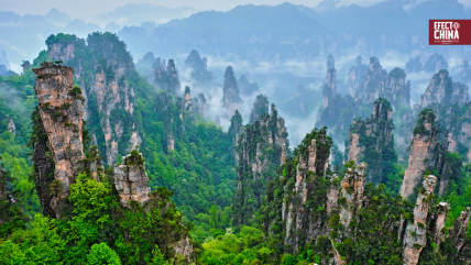   Zhangjiajie, el Tíbet y Avatar: el lado místico de China que sorprendió a periodista chilena 