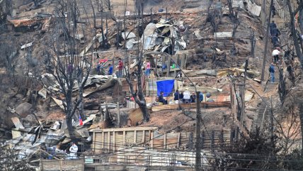 Incendios forestales: Gobierno ha aplicado más de 2.600 fichas FIBE