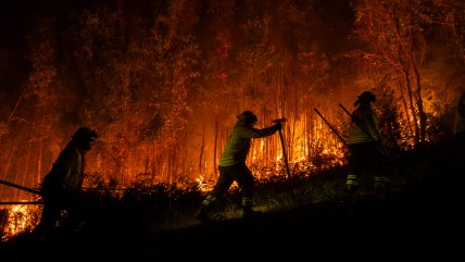  Incendios forestales:18 se mantienen en combate a nivel nacional  