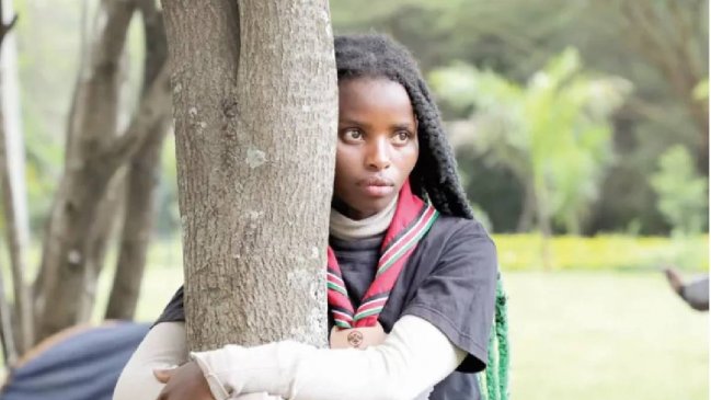 Récord Guinness: Activista climática abrazó a un árbol durante 72 horas