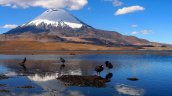 Lago Chungará avanza en su recuperación tras grave derrame de aceite