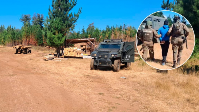 Dos detenidos en Collipulli por robar madera desde un predio forestal