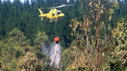 Cinco incendios forestales están en combate: La Región del Maule es la más afectada