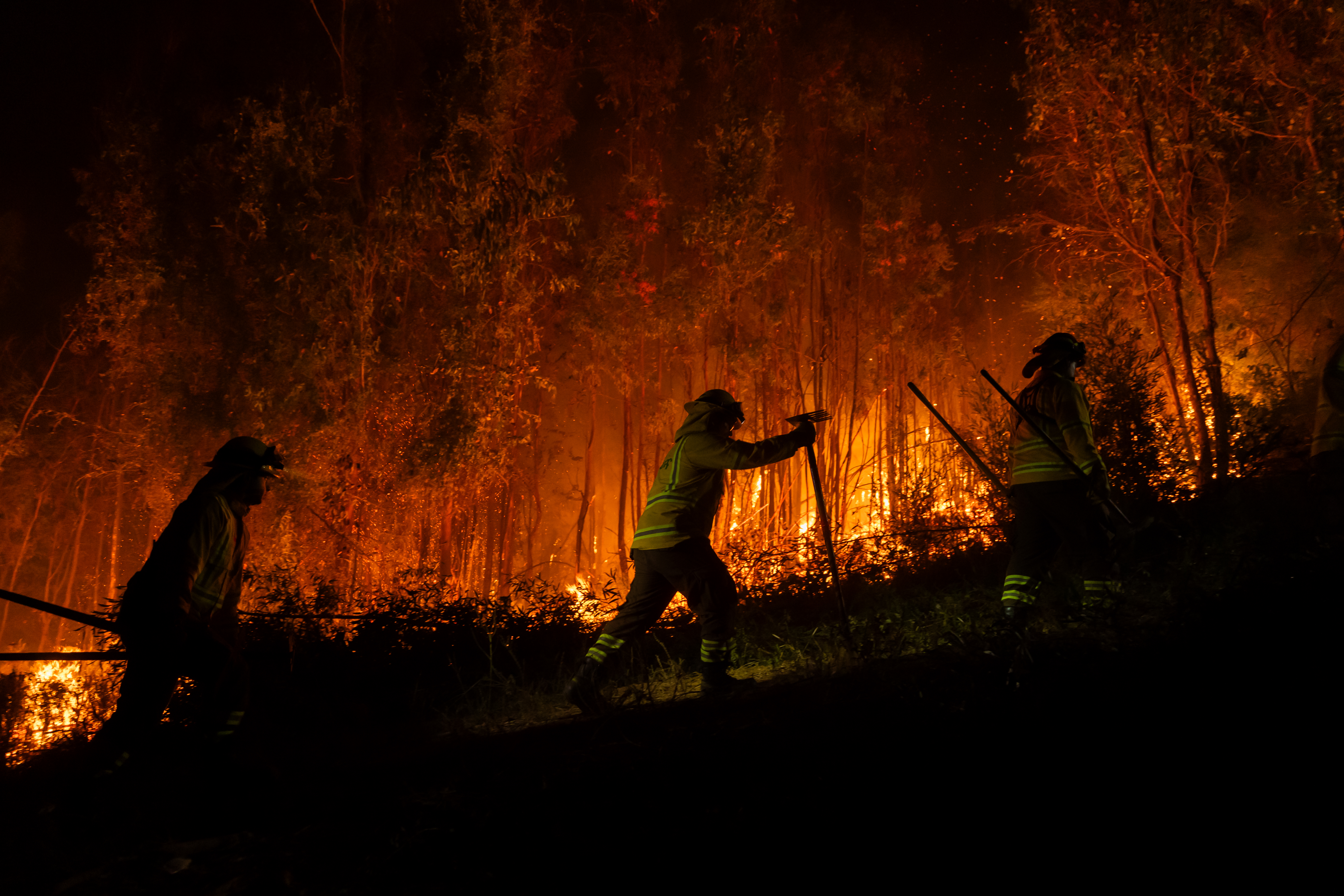 Imagen foto_00000001