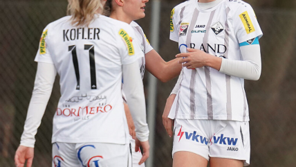   Exdirigente será juzgado en Austria por grabar a jugadoras en las duchas 