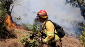 Conaf advierte que riesgo de incendios forestales en Biobío se mantendrá hasta abril