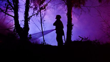   Conaf: El Botón Rojo significa que cualquier acción de riesgo provocará un incendio 