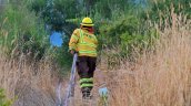 Alerta roja para comunas del Biobío y La Araucanía por incendios forestales