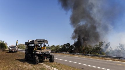   Florida: Incendio en reserva natural Everglades supera las 10.400 hectáreas y amenaza viviendas 