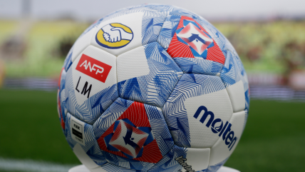 Votación del informe sobre reforma a la ley SADP será prioridad en el Senado