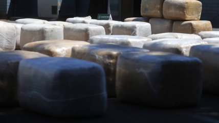   Carabineros incauta casi dos toneladas de marihuana en Pudahuel 